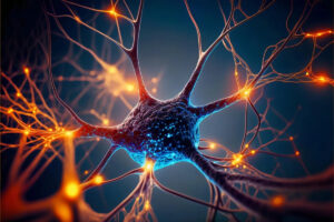 Přečtete si více ze článku Kanabinoidy a neurologická onemocnění: co je schváleno a co ne